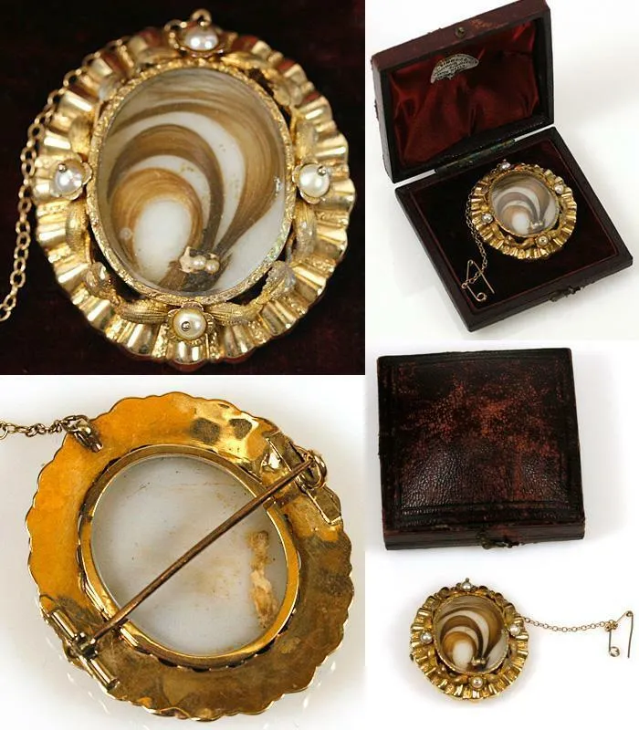 Fine Antique French Hair Art Brooch, 18K Gold & Pearls in Domed Jewelry Box