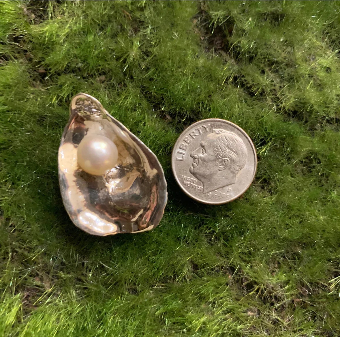 Sterling Silver Oyster Shell Pendants and Earrings